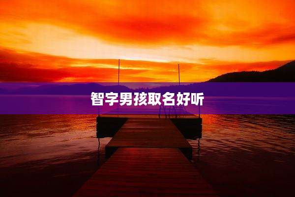 智字男孩取名好听