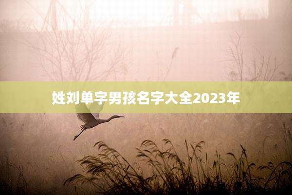 姓刘单字男孩名字大全2023年