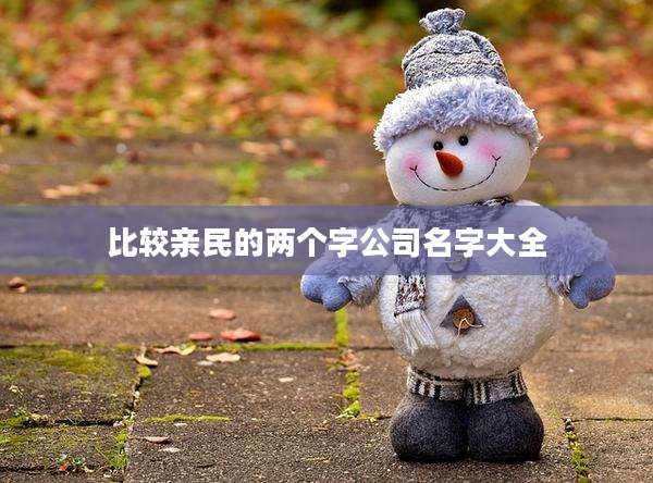 比较亲民的两个字公司名字大全