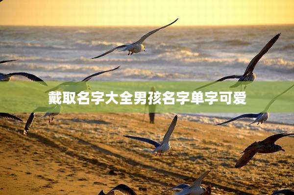 戴取名字大全男孩名字单字可爱