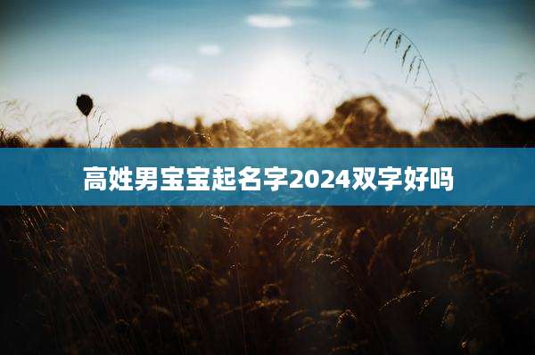 高姓男宝宝起名字2024双字好吗