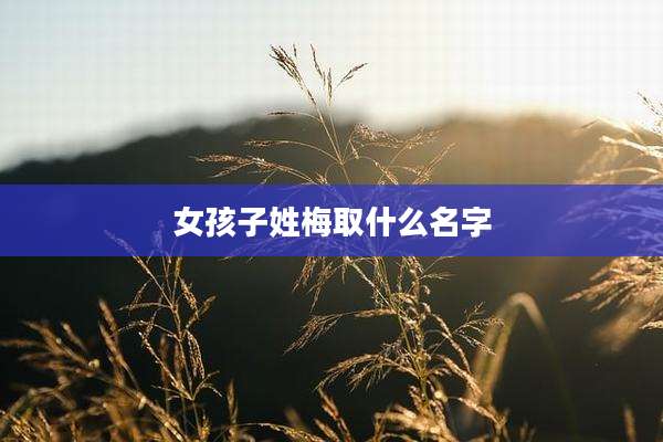 女孩子姓梅取什么名字