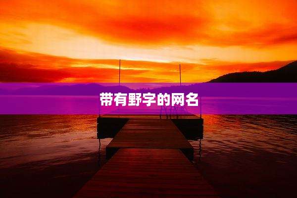 带有野字的网名