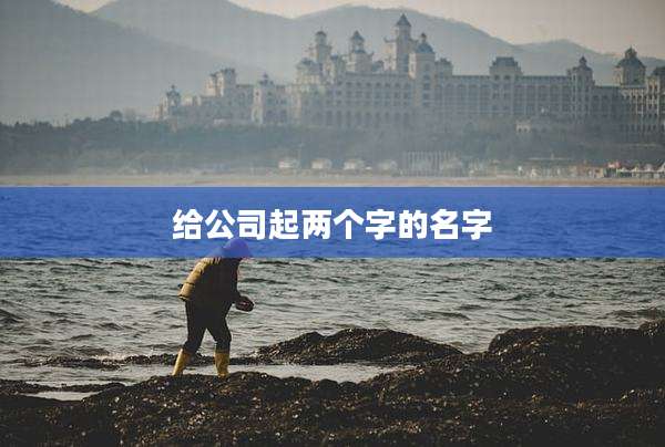 给公司起两个字的名字