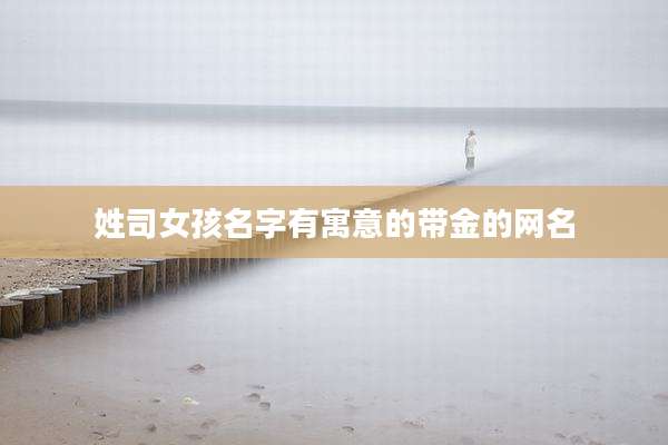 姓司女孩名字有寓意的带金的网名