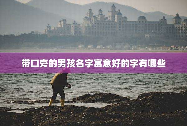 带口旁的男孩名字寓意好的字有哪些