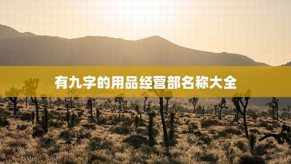 有九字的用品经营部名称大全