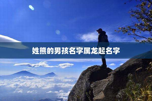姓熊的男孩名字属龙起名字