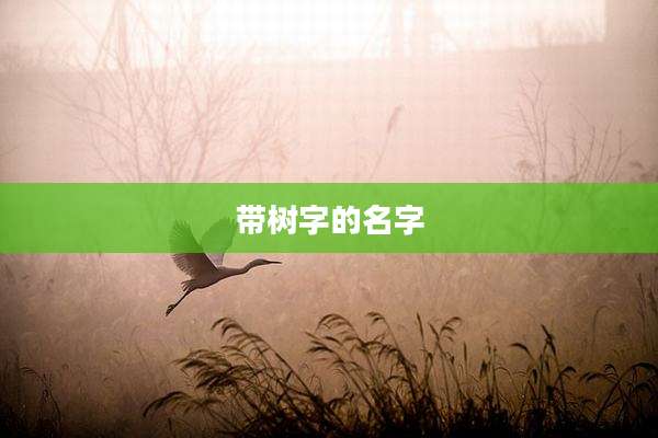带树字的名字