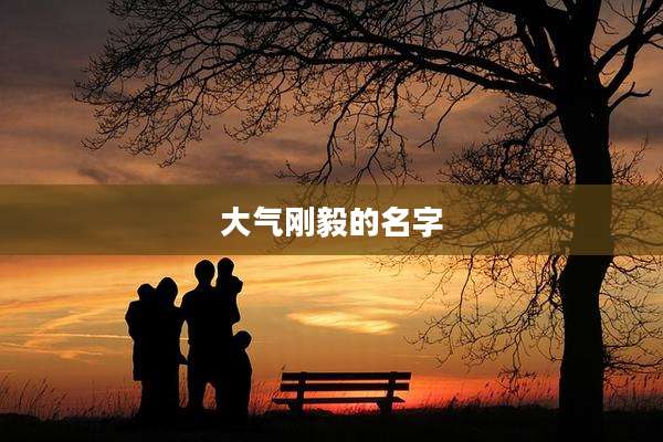 大气刚毅的名字