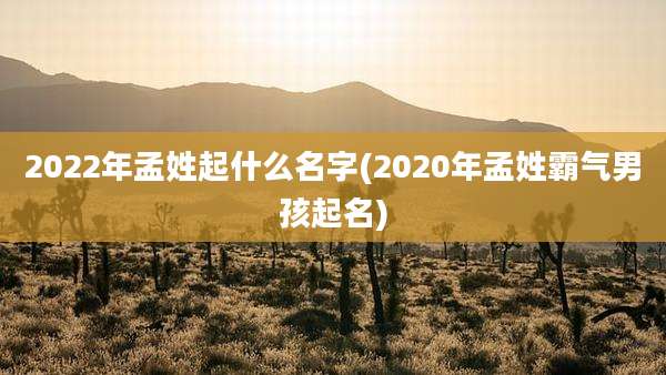 2022年孟姓起什么名字(2020年孟姓霸气男孩起名)