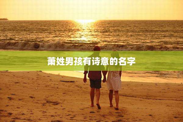 萧姓男孩有诗意的名字