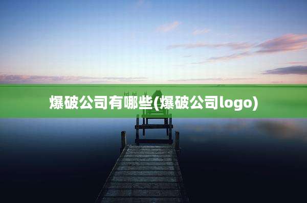 爆破公司有哪些(爆破公司logo)