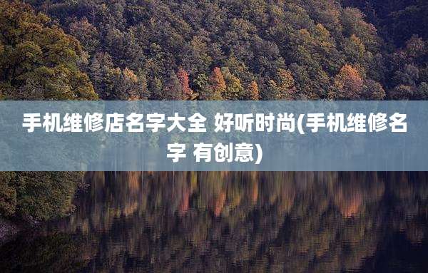 手机维修店名字大全 好听时尚(手机维修名字 有创意)