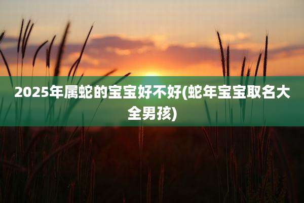 2025年属蛇的宝宝好不好(蛇年宝宝取名大全男孩)