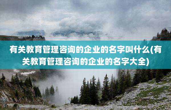 有关教育管理咨询的企业的名字叫什么(有关教育管理咨询的企业的名字大全)