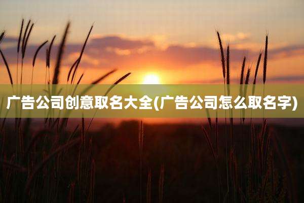 广告公司创意取名大全(广告公司怎么取名字)