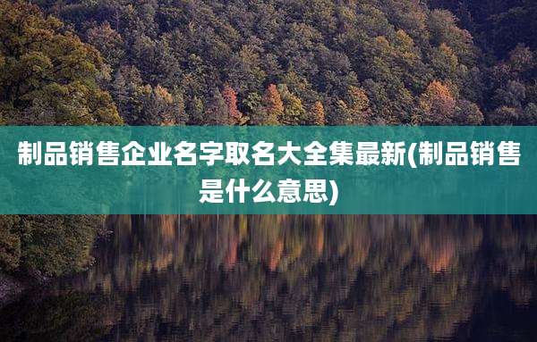 制品销售企业名字取名大全集最新(制品销售是什么意思)