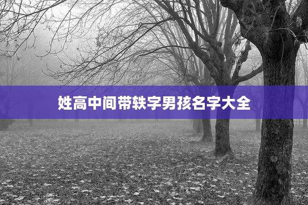 姓高中间带轶字男孩名字大全