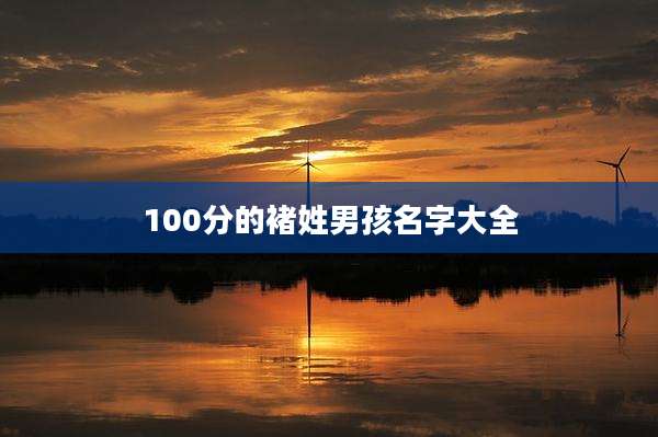 100分的褚姓男孩名字大全