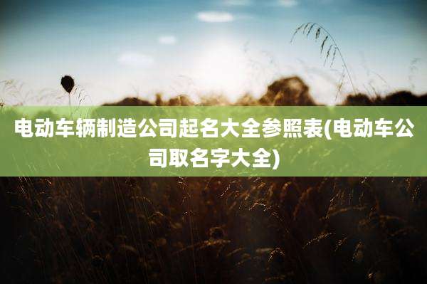 电动车辆制造公司起名大全参照表(电动车公司取名字大全)