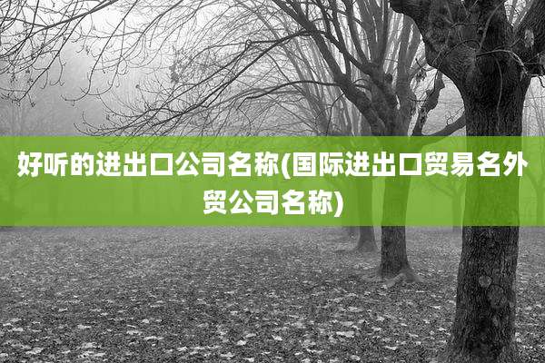 好听的进出口公司名称(国际进出口贸易名外贸公司名称)