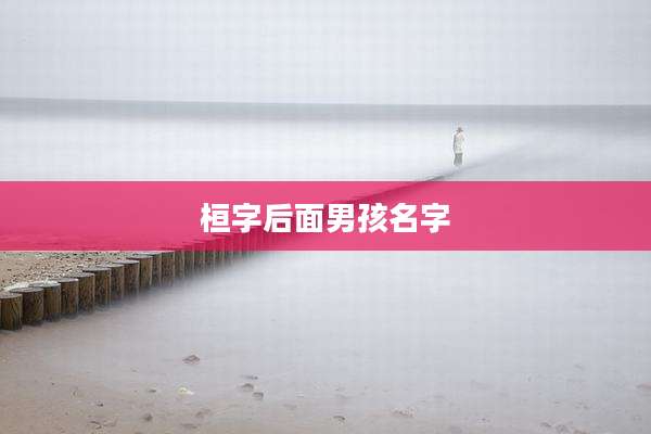 桓字后面男孩名字