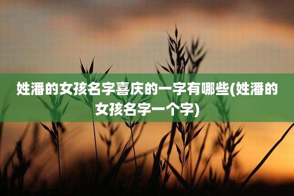 姓潘的女孩名字喜庆的一字有哪些(姓潘的女孩名字一个字)