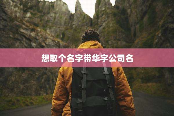想取个名字带华字公司名