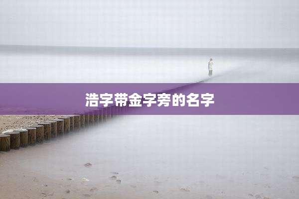 浩字带金字旁的名字