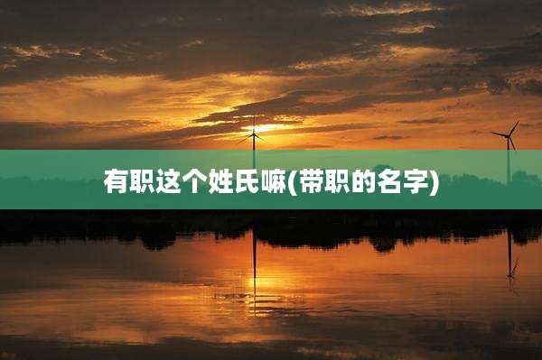 有职这个姓氏嘛(带职的名字)