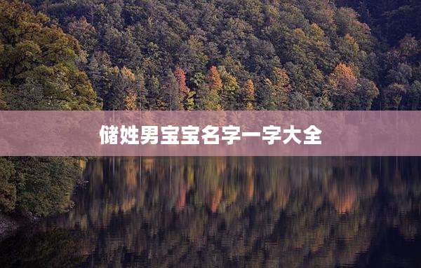 储姓男宝宝名字一字大全