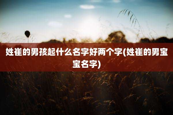 姓崔的男孩起什么名字好两个字(姓崔的男宝宝名字)