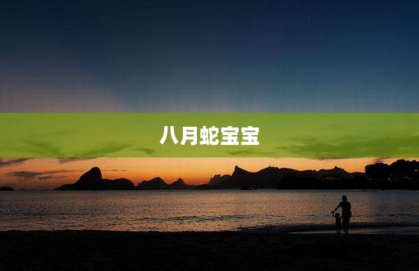八月蛇宝宝