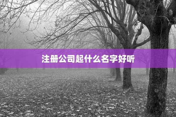 注册公司起什么名字好听