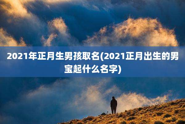 2021年正月生男孩取名(2021正月出生的男宝起什么名字)
