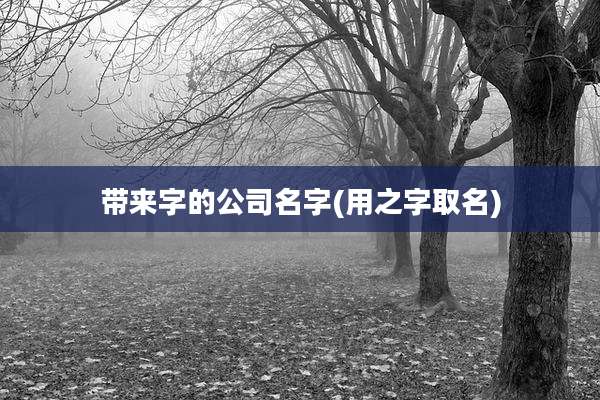 带来字的公司名字(用之字取名)