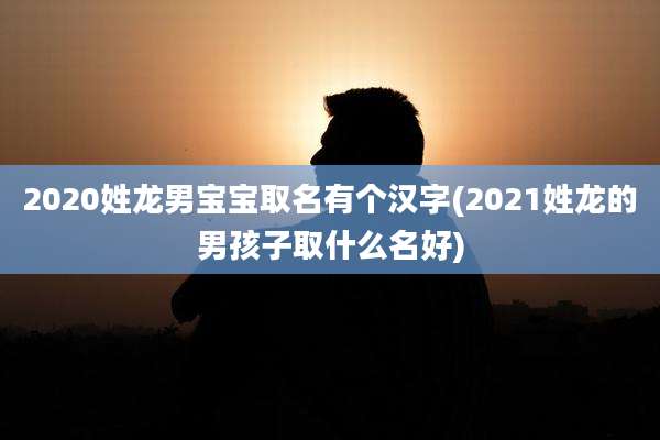 2020姓龙男宝宝取名有个汉字(2021姓龙的男孩子取什么名好)