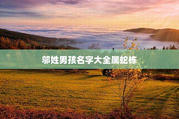 邬姓男孩名字大全属蛇栋