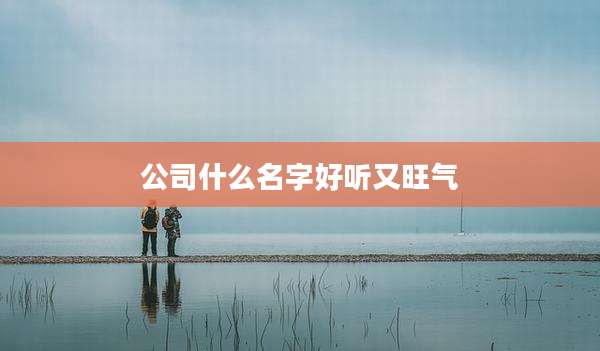 公司什么名字好听又旺气