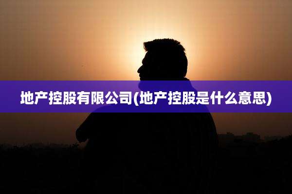 地产控股有限公司(地产控股是什么意思)