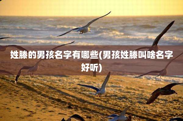姓滕的男孩名字有哪些(男孩姓滕叫啥名字好听)