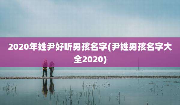 2020年姓尹好听男孩名字(尹姓男孩名字大全2020)
