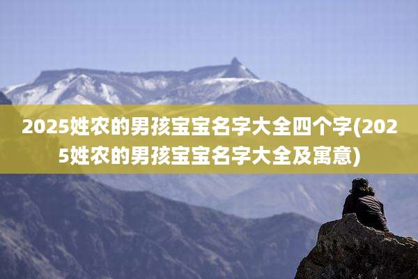 2025姓农的男孩宝宝名字大全四个字(2025姓农的男孩宝宝名字大全及寓意)