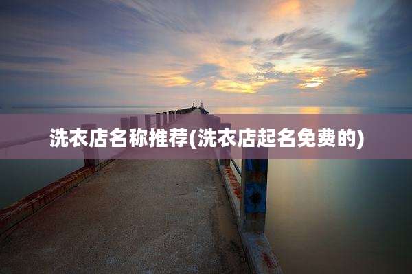 洗衣店名称推荐(洗衣店起名免费的)
