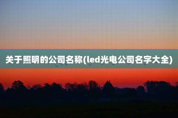 关于照明的公司名称(led光电公司名字大全)