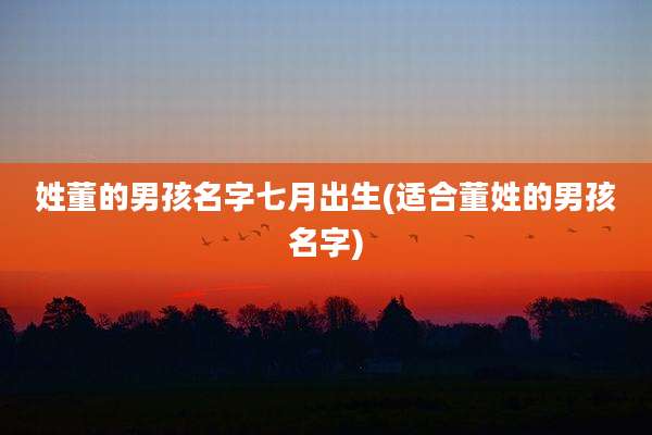 姓董的男孩名字七月出生(适合董姓的男孩名字)