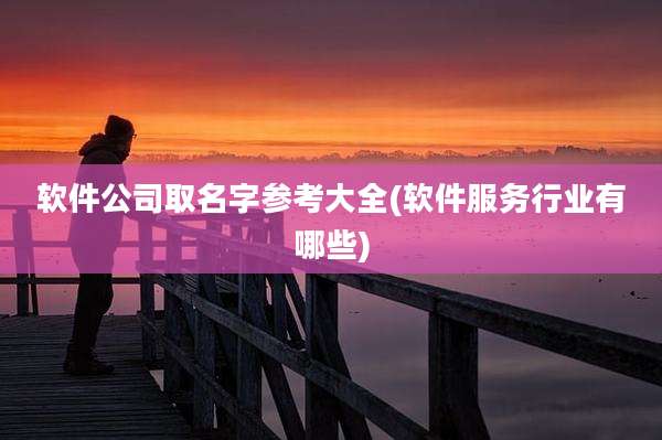 软件公司取名字参考大全(软件服务行业有哪些)