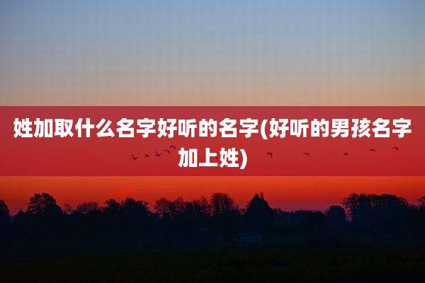 姓加取什么名字好听的名字(好听的男孩名字加上姓)