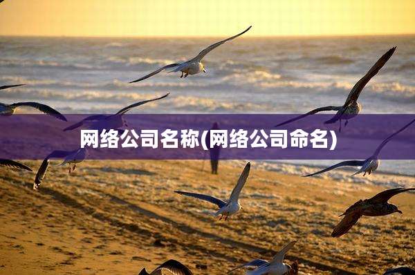 网络公司名称(网络公司命名)